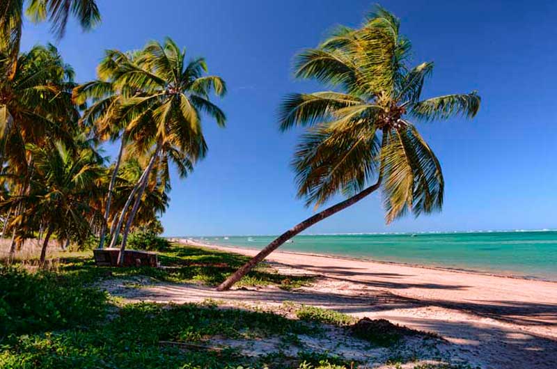 Roteiros românticos baratos para casais. Ela Sempre Bem