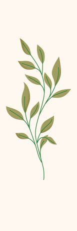 Ela Sempre Bem, feito para mulheres que buscam inspiração e dicas para viver com estilo e bem-estar.